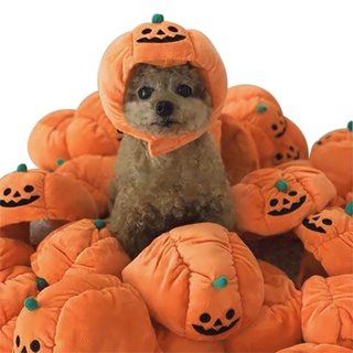 VILLFUL 1 Unidade Chapéu De Estimação Chapéu De Cachorro Engraçado Gato  Chapéu De Cosplay Para Animais De Estimação Chapéu De Halloween De Gatos  Dia Das Bruxas Pelúcia Curta O Cachorro