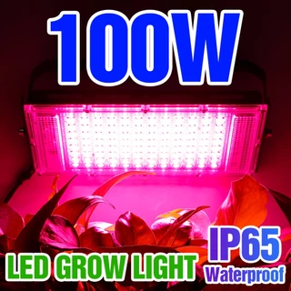 Planta LED 200W Crescimento De Luz AC220V Lâmpada De Inundação De Espectro Completo Phyto Bulbos 100W Hidropônicos 25W IP65 Impermeável EU/AU/Reino Unido Plug