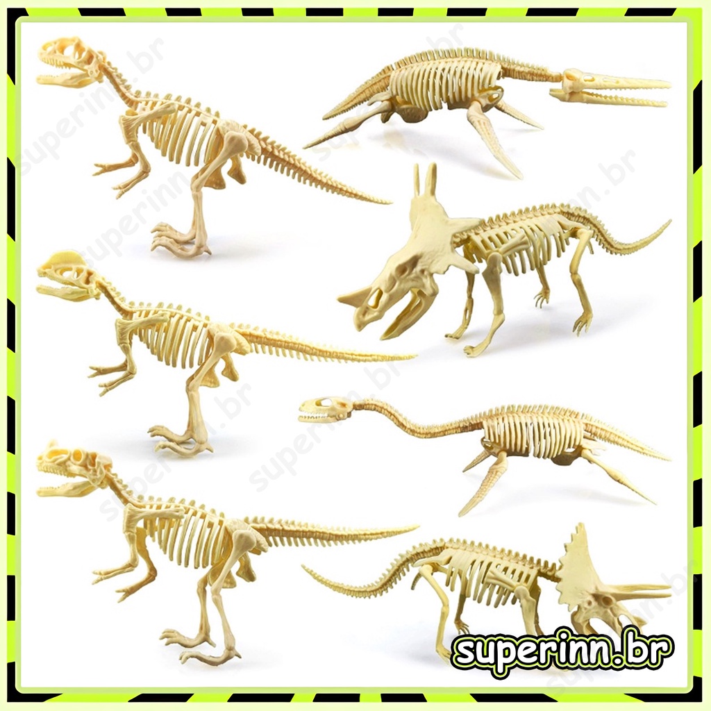 Esqueleto 4d Tiranossauro Rex Grande Dinossauro Para Montar