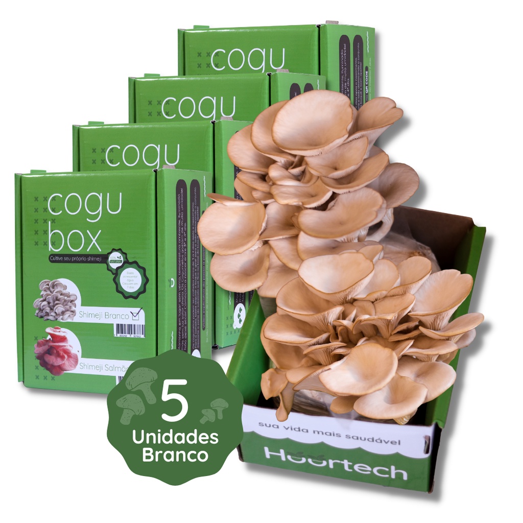 Combo Cogubox: 5 Cogubox Shimeji Branco | Shopee Brasil