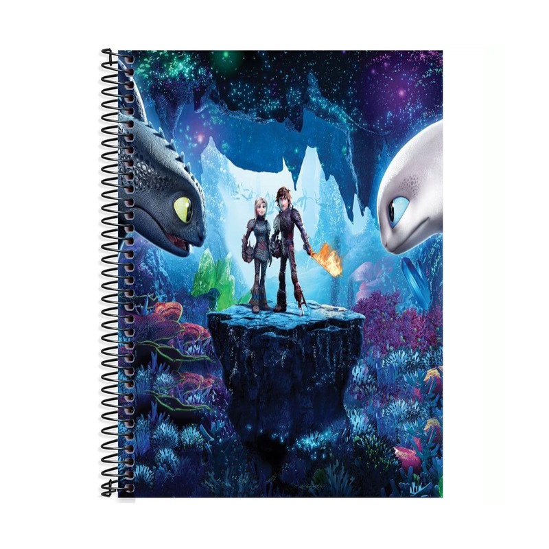 Caderno Personalizado 1 ou 10 materias Como treinar seu Dragão | Shopee ...