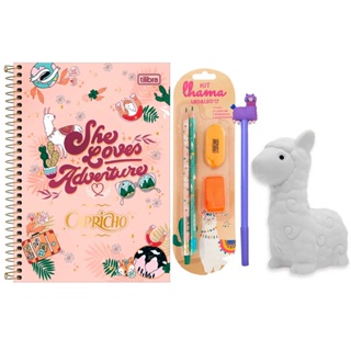 Kit Presente Papelaria Criativa Caderno Lápis e Caneta Combo Surpresa Material Escolar Fofo Dia Das Crianças