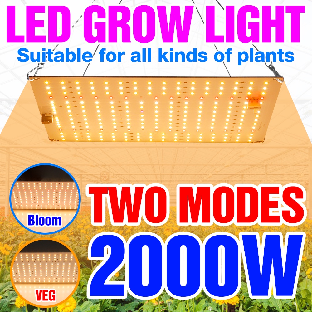 Quantum Board LED Grow Light Full Spectrum Plantas Lâmpada Painel 220V ...