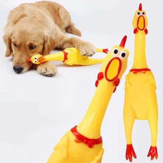 Mordedor Galo para Cães Brinquedo Frango de Borracha