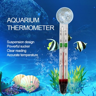 Termômetro Digital para Aquários Lcd Adesivo para fixação no vidro do  aquário Vigo Ar - Agropesc