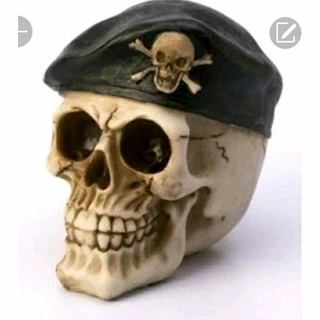Caveira militar de boina com nome escrito/soldado/exercito/brasil/gesso/escultura/estátua