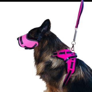 Combo Peitoral comfort + focinheira guia com mola antimpacto cachorro pit bull pastor bulldog akita adestramento Huskie american bullie fabricação propria