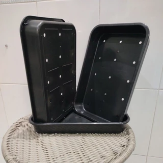 Kit 3 Bandejas Sementeiras na Cor Preta