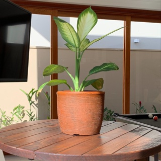 Vaso Redondo Para Plantas Moderno 20x23 De Polietileno 7l
