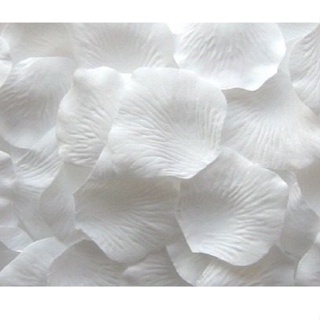 2000 Pétalas de Rosas Artificiais Brancas Decoração Casamento Festas