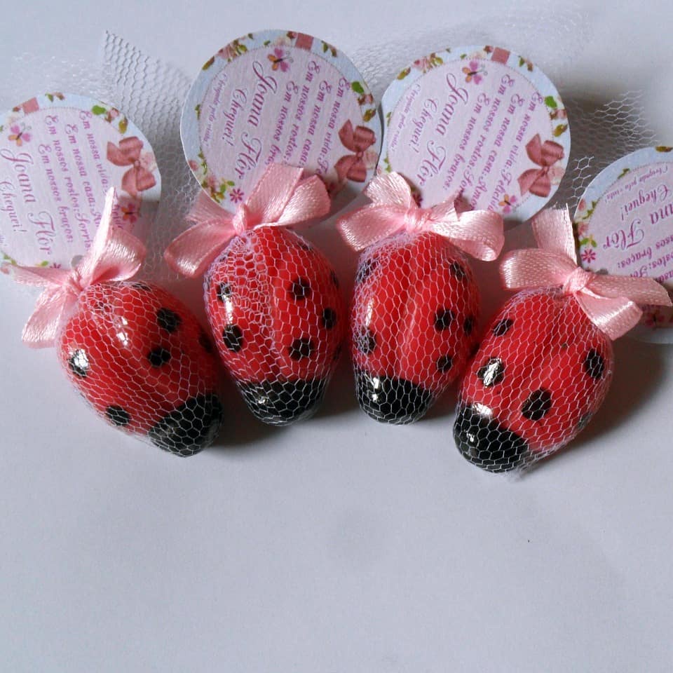 25 lembrancinhas de joaninha Jardim encantado para aniversário, chá de ...