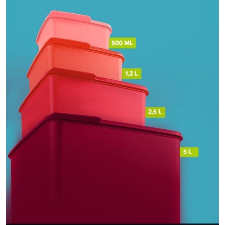 Tupperware Kit Caixas Basic Line 4 peças | Shopee Brasil