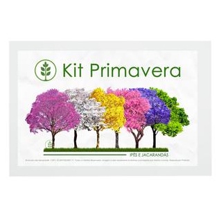 Kit Primavera com 180 Sementes de Ipê e Jacarandá | Amarelo Azul Branco Rosa Roxo Verde | Mundo Das Sementes®
