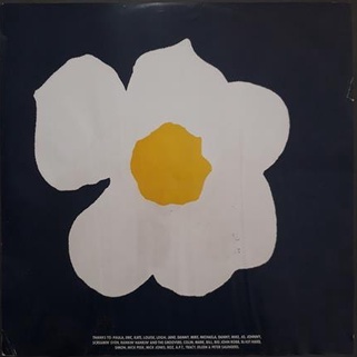 LP New Fast Automatic Daffodils – Pigeonhole | Shopee Brasil