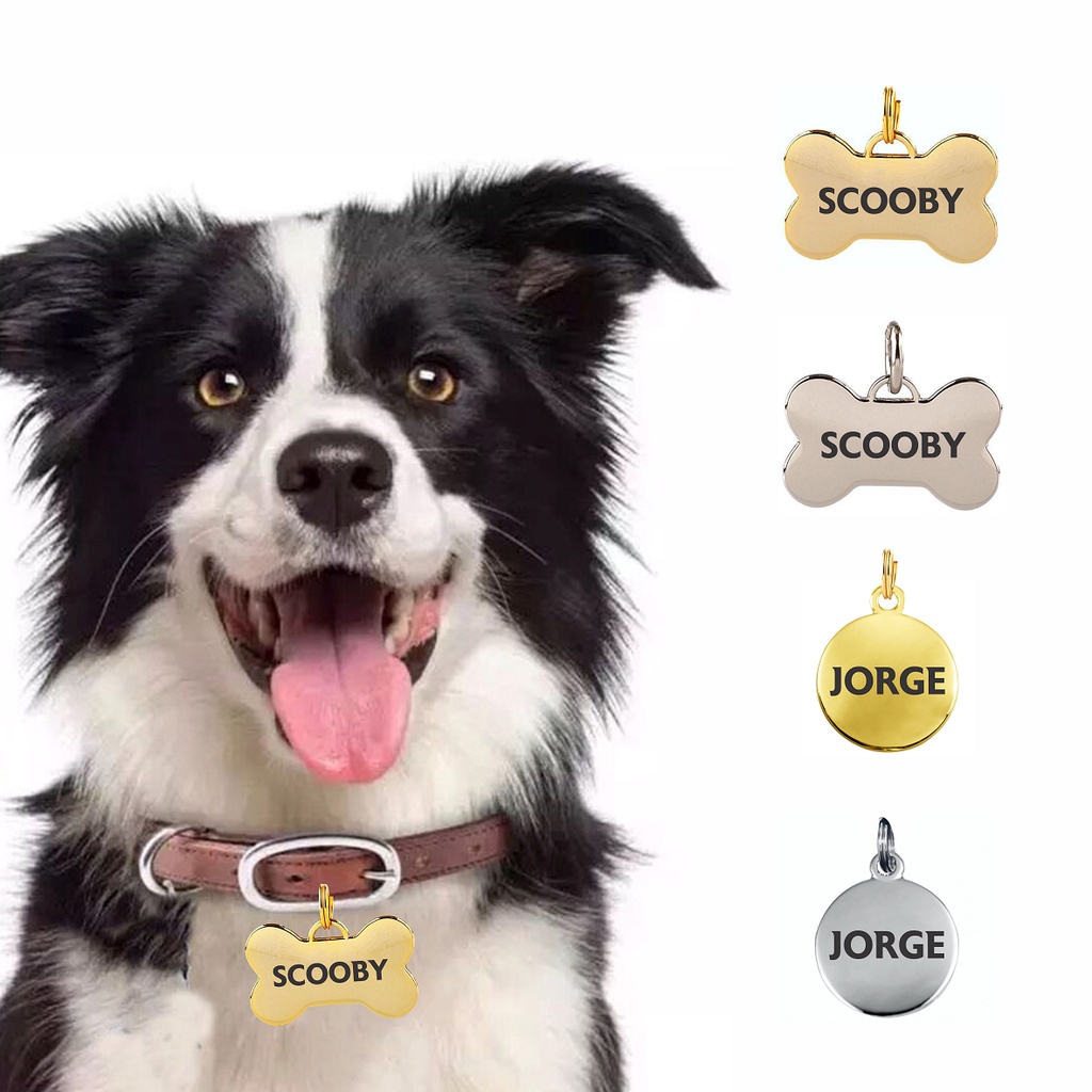 Placa de Identificação Pet Plaquinha Pingente personalizado Cachorro Cão Gato