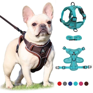 Coleira Peitoral Anti-puxão e Guia Ajustável para Cão e Gato, Cachorro Pequeno de Malha Flexível.