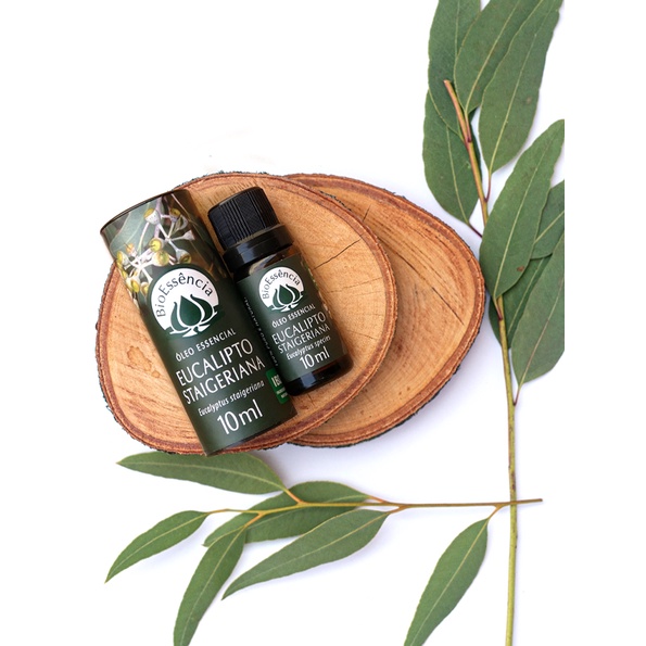 Óleo Essencial Eucalipto Staigeriana 10 ml- Eucalyptus Staigeriana ...