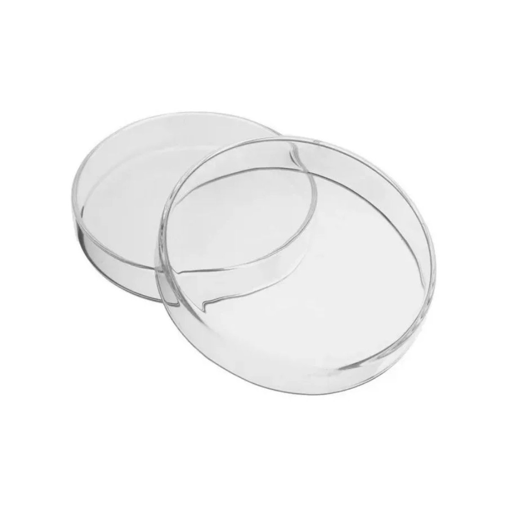 Placa de Petri em Vidro Tamanho: 80x15mm Kit Com 5 Unidades | Shopee Brasil