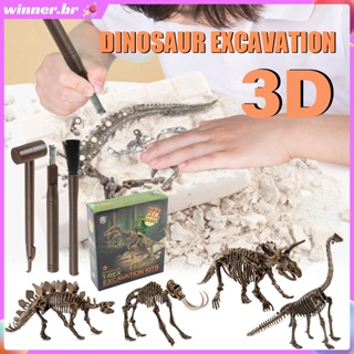 3d Dinossauro Dinossauro Kit de Escavação Fóssil Kit Educacional  Arqueologia Requintado Brinquedo Conjunto Jogo Interativo Jogo Conjunto De  Dinossauro Modelo esqueleto