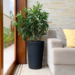 Vaso De Planta Redondo Polietileno Decorativo Jardim 55x37
