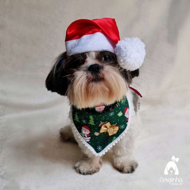 Gorro Papai Noel Pet com elástico Regulável
