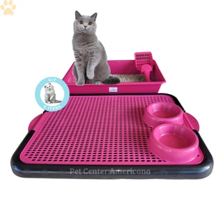 Caixa de Areia de gato + Tapete Coletor de Areia kit 5 em 1