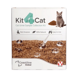 Kit4cat Areia Coletora de Urina de Gatos - 300g