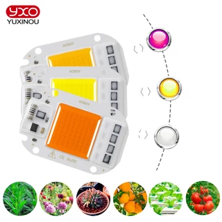 DOB led COB Chip 50W 30W 20W 10W AC 220V Sem Necessidade De Lâmpada Smart IC Para Holofote Crescer