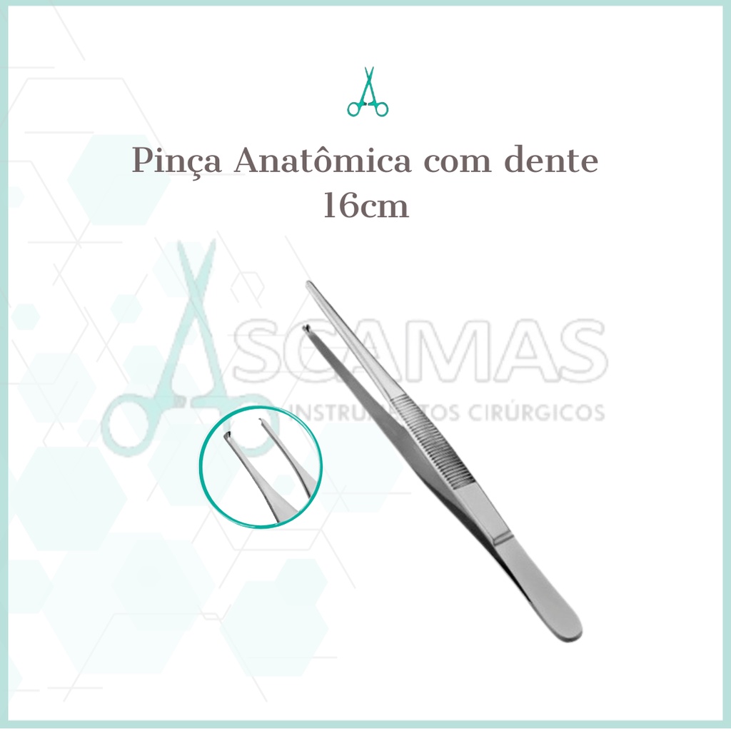 Pinça Anatômica Dente De Rato 16 Cm | Shopee Brasil