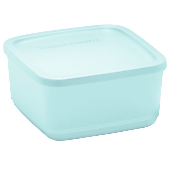 Tupperware Refri Line Quadrado 650ml | Shopee Brasil