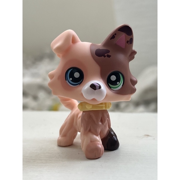 Butter Collie Littlest Pet Shop Shopee Brasil