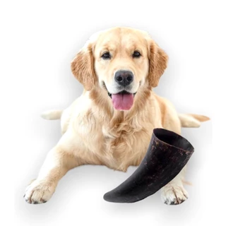 Mordedor Para Cachorro Ponta de Chifre Bovino Boi Natural Cães Beef Bone Pet Roer Brinquedo