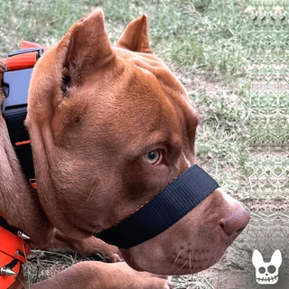 Focinheira Para Cachorro A mais Confortável do Mercado
