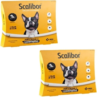 Combo 2x Coleira Antiparasitária Scalibor P (48cm) Para Cães Pequenos e Médios