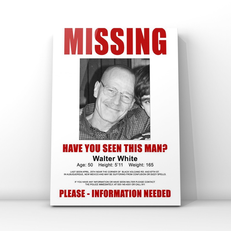 Quadro Placa Decorativa Breaking Bad