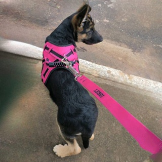 coleira e Guia para cachorro nome personalizado coleira peitoral conforto peiteira couro sintetico sistema amortecedor impacto regulagem envio imediato