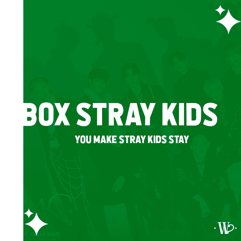 Box Stray Kids Vários Itens | Shopee Brasil