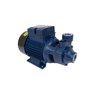 Motobomba Periferica 1CV ICS-100AB Bivolt 29890.1 Eletroplas