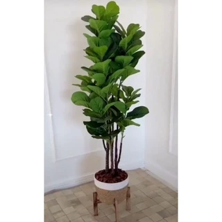 planta artificial ficus lyrata 1.10mt/sem o vaso