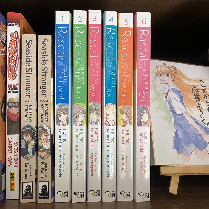 Coleção Light Novels Bunny Girl Senpai vols 1 ao 6 Shopee Brasil