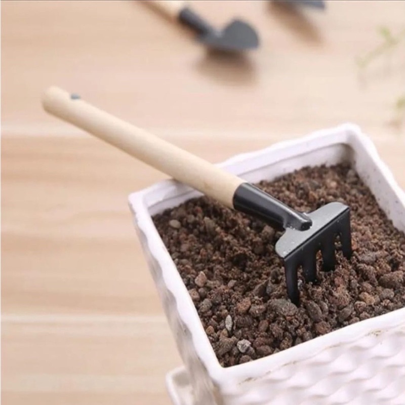 Kit 3 Mini Ferramentas Para Jardinagem Madeira