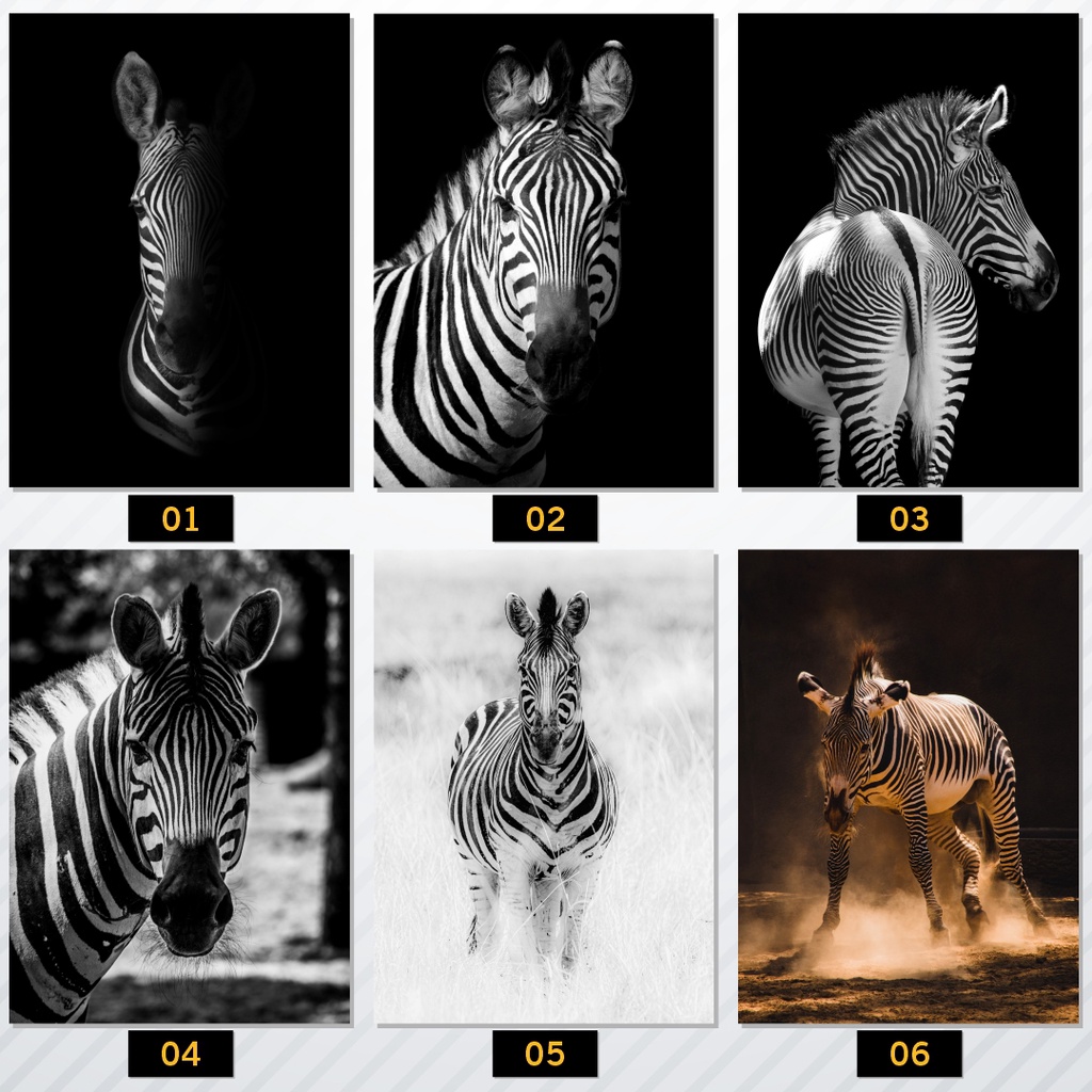 Placa Decorativa Zebra em MDF 3mm - Tamanho 19x28cm - Animais | Shopee ...