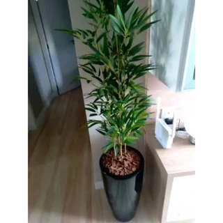 planta bambu artificial 1metro 4 hastes/o vaso não acompanha