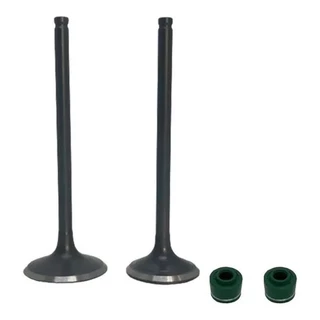 Kit Válvula Admissão Escape Com Retentor Cg160 Titan Fan Start Nxr 160 Bros 2015 Até 2022