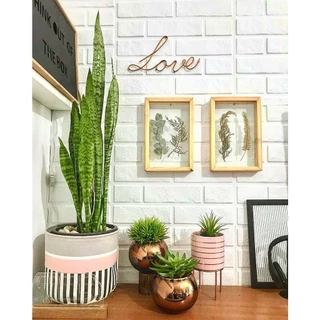 PROMO 10 Placas 3d PVC Fosco Tijolinho Lisboa 50x50cm
