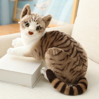 30cm Gato Desenho Animado Pelúcia Gato Brinquedo Presente Cor Cat
