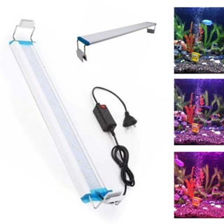 Luminária Led Aquário Eco Betta S10 Bra/azu/ver 10/20cm Bivolt