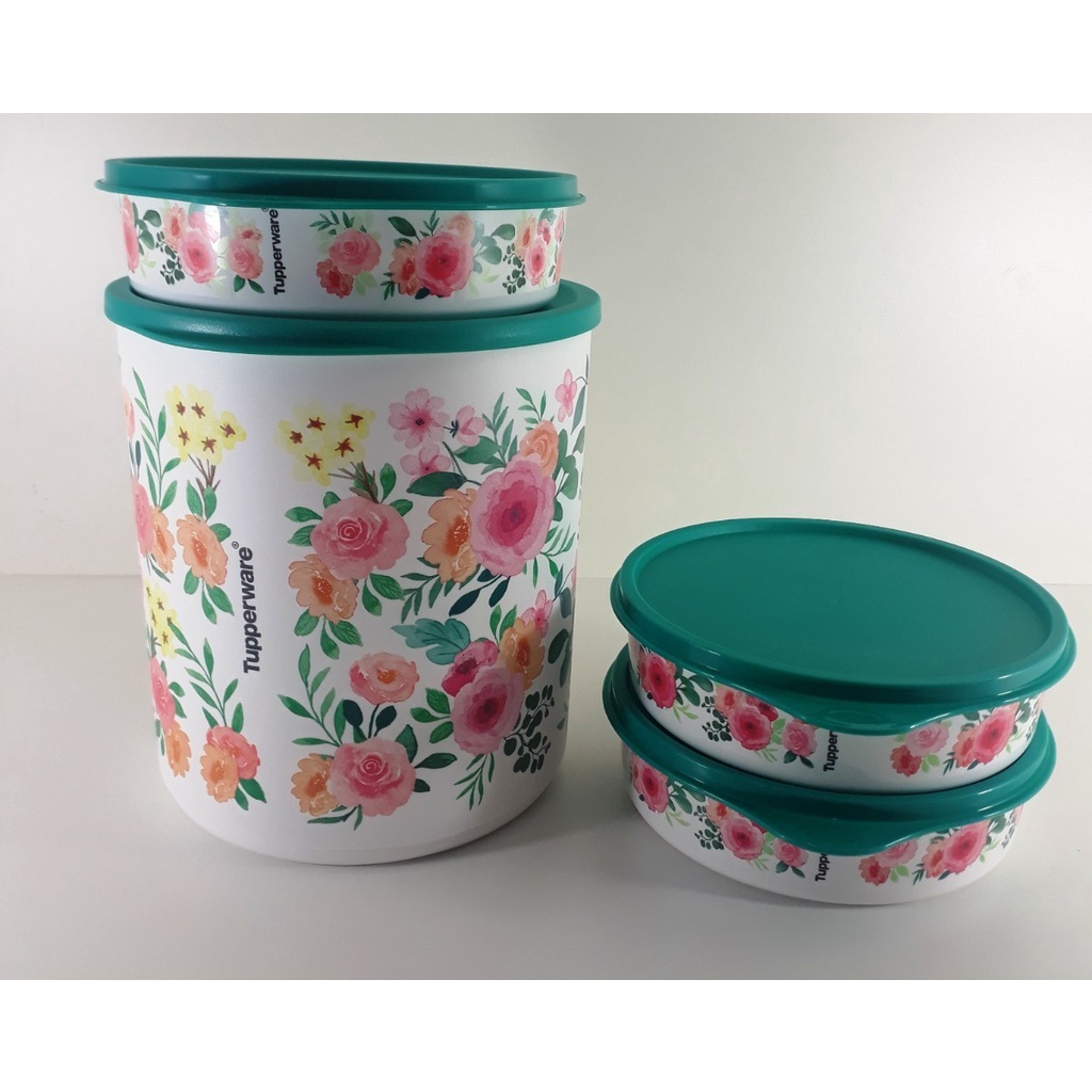Kit Refri Line Redondo E Pratinhos Tupperware | Shopee Brasil