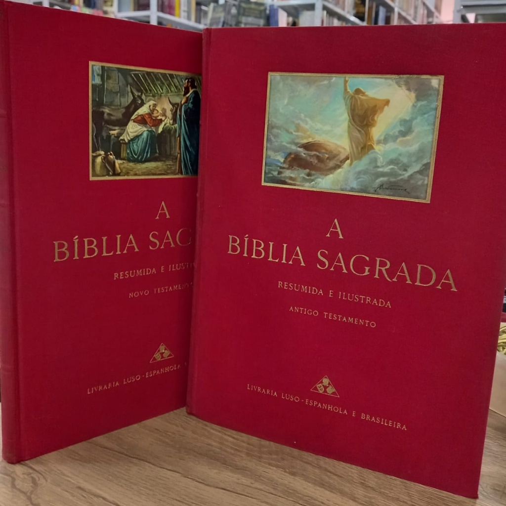 A Bíblia Sagrada Resumida e Ilustrada - Antigo e novo testamento autor ...