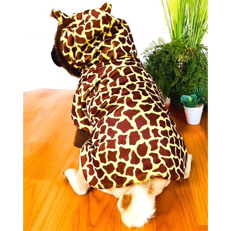 fantasia-pet-girrafa-shopee-brasil